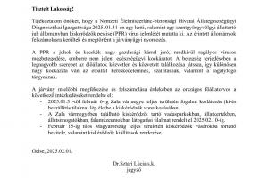 Tájékoztatás